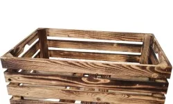 bednicka 60x39